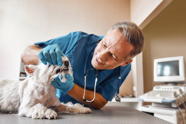 Best Emergency Dentist for Knocked-Out Tooth in West Park, CA